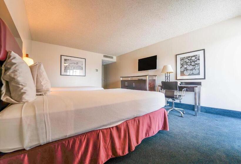 Quarto Estandar Cama Queen, Royal Plaza Inn