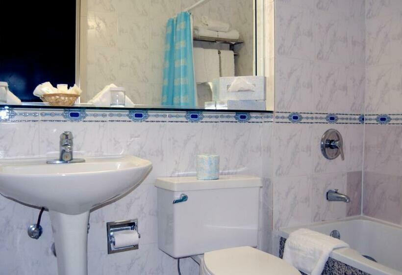 غرفه قياسيه سريرين مزدوجين, Congress Plaza Hotel Chicago