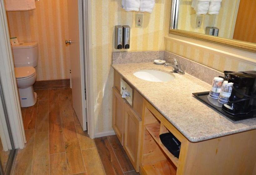חדר אקזקיוטיב חדר קינג, Best Western Plus Hill House