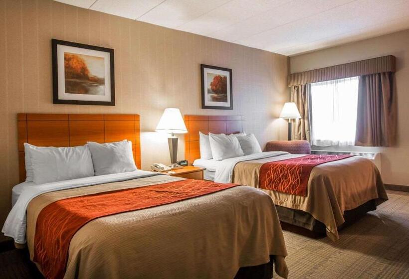 스탠다드 룸 더블 침대 2개, Comfort Inn