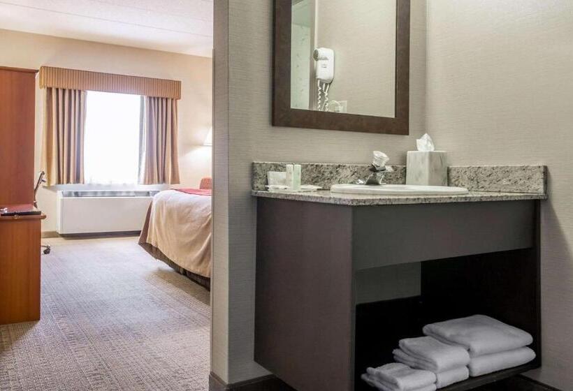 스탠다드 룸 킹사이즈 침대, Comfort Inn