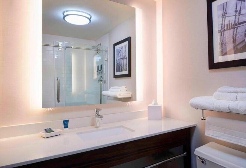 Номер Deluxe Кровать Кинг Вид на Город, Four Points By Sheraton Detroit Novi