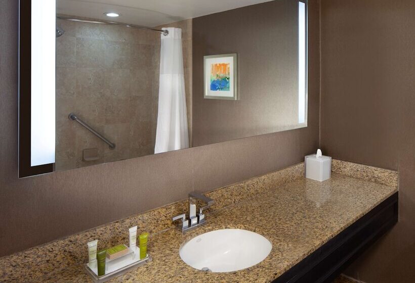 Номер Deluxe, Hilton St. Petersburg Bayfront