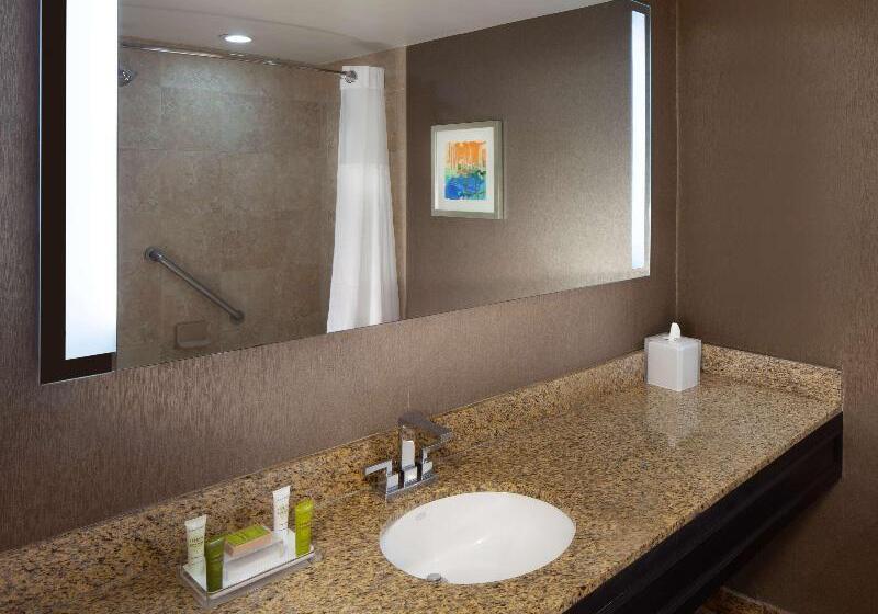 Номер Deluxe, Hilton St. Petersburg Bayfront
