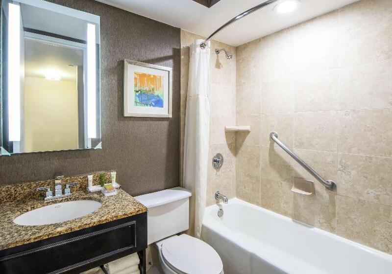 Номер Deluxe, Hilton St. Petersburg Bayfront