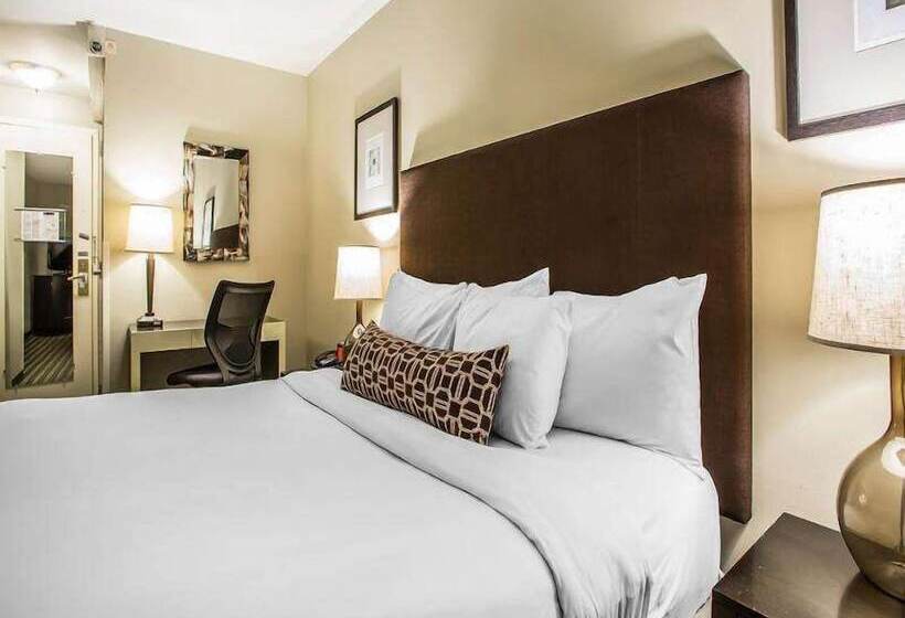 Quarto Deluxe, Inn Of Chicago