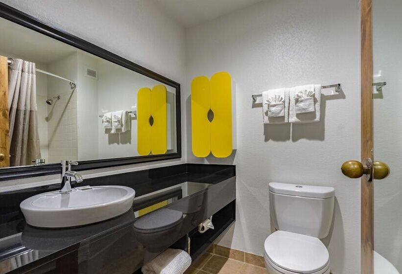豪华套房, Quality Inn & Suites Plano East   Richardson