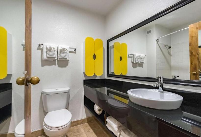 四人豪华间, Quality Inn & Suites Plano East   Richardson