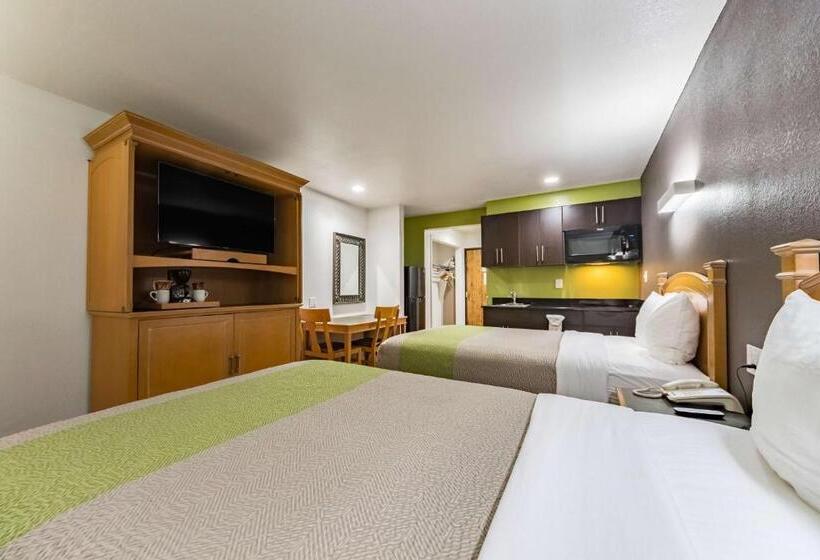 四人豪华间, Quality Inn & Suites Plano East   Richardson