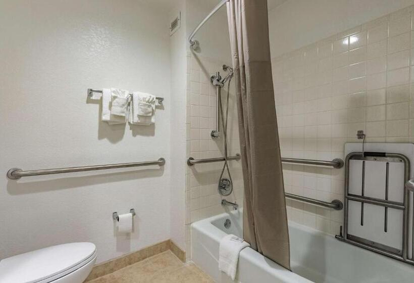 带大床的标准间, Quality Inn & Suites Plano East   Richardson