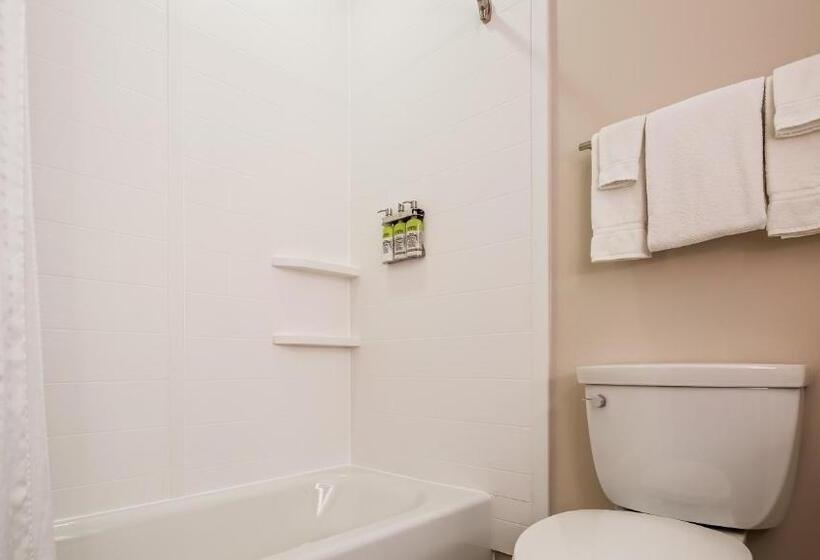 Номер Стандарт, Holiday Inn Express & Suites Detroit   Farmington Hills, An Ihg