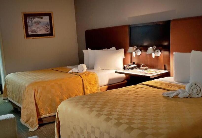 Номер Стандарт, Discovery Inn Lafayette