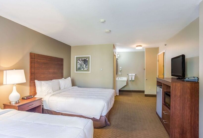 Номер Стандарт 2 Двуспальные Кровати, Quality Inn & Suites