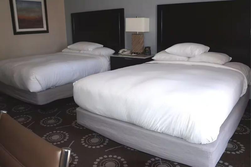 Standard Room Adapted for people with reduced mobility, Wyndham Midland Downtown