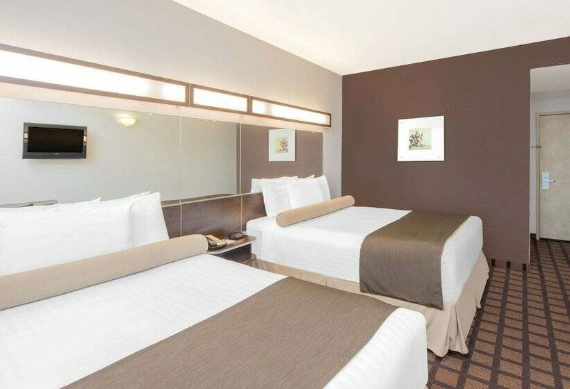 ２ダブルベッドのスタンダードルーム, Microtel Inn & Suites By Wyndham Quincy Downtown   River Area