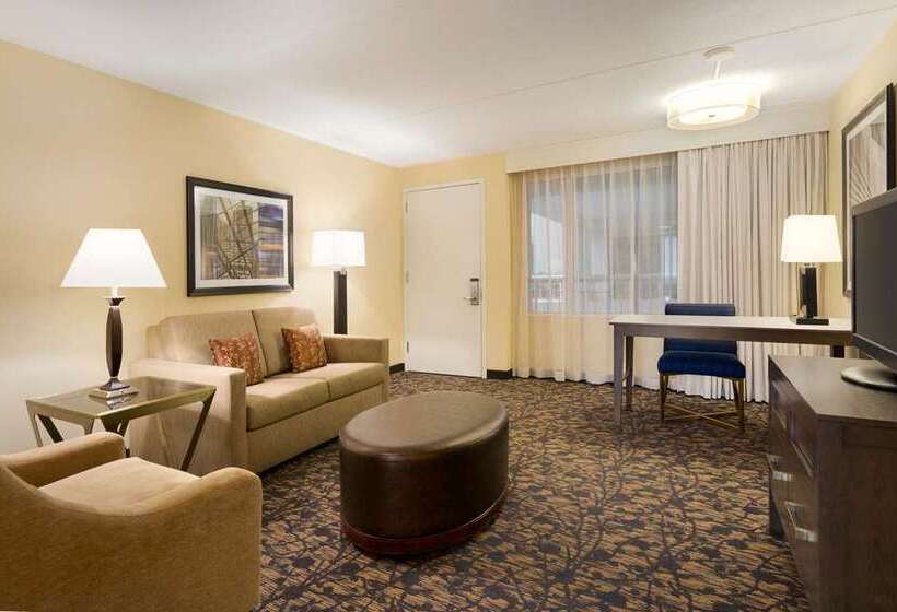 이그제큐티브 룸 킹사이즈 침대, Embassy Suites Hotel Denver Tech Center