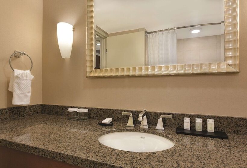 프리미엄 스위트, Embassy Suites Hotel Denver Tech Center