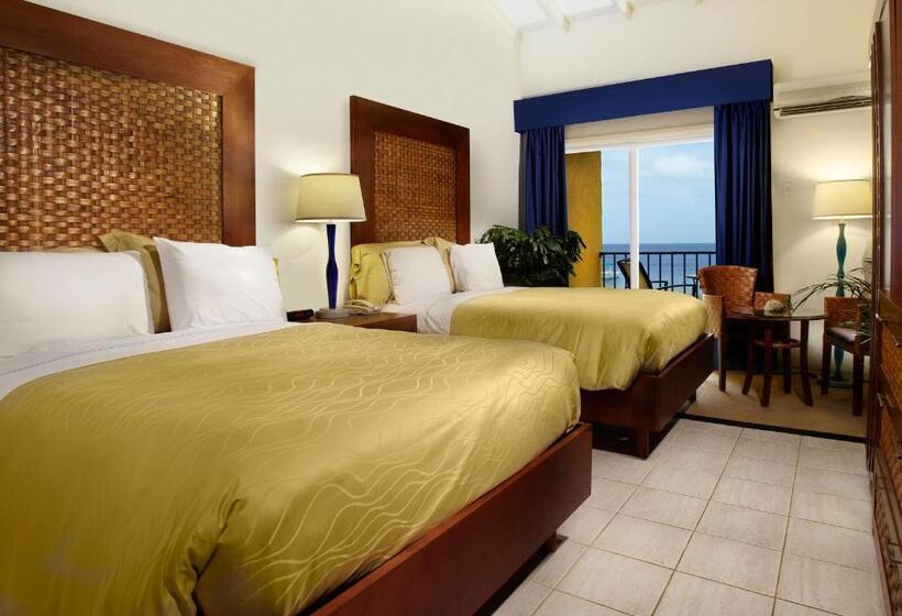 豪华海景房, Divi Flamingo Beach Resort