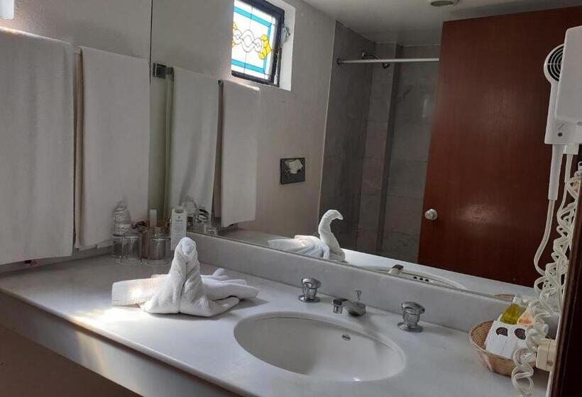 StandaardKamer, De Mendoza