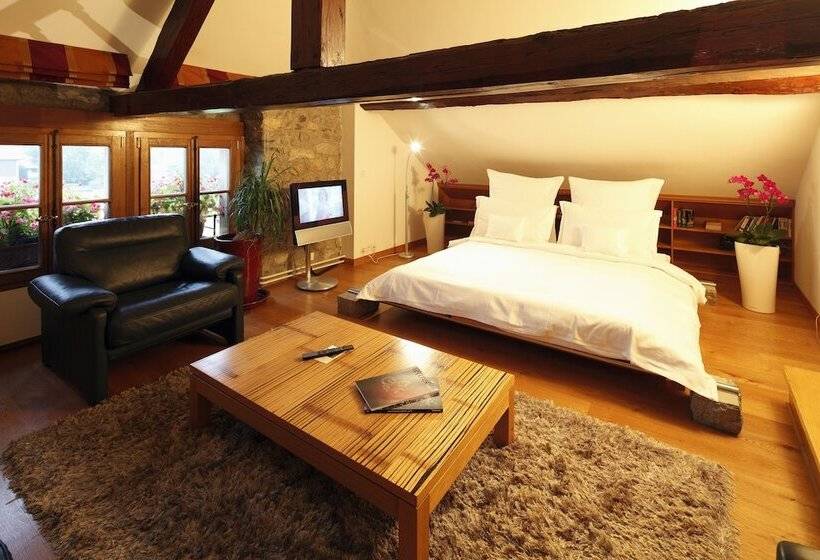 Люкс Дюплекс, Domaine De Chateauvieux