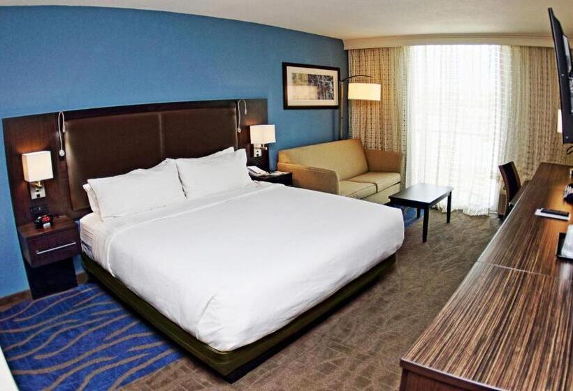 اتاق اجرایی با تخت بزرگ, Holiday Inn Mayaguez & Tropical Casino, An Ihg
