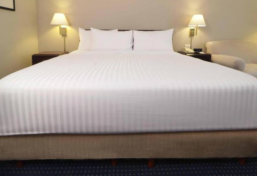 Номер бизнес-класса, Wyndham Garden Monterrey Norte