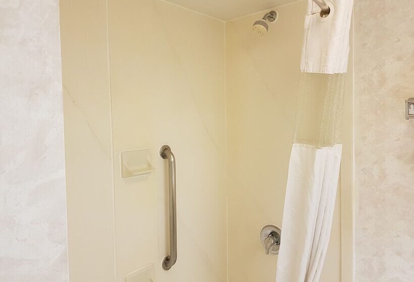 Номер Стандарт 2 Двуспальные Кровати, Wyndham Garden Monterrey Norte