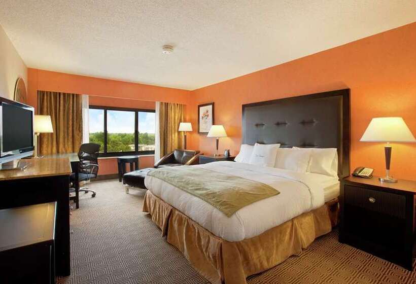 اتاق استاندارد با تخت بزرگ, Doubletree By Hilton Orlando Airport