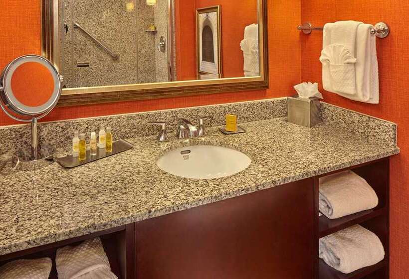 اتاق استاندارد با تخت بزرگ, Doubletree By Hilton Orlando Airport