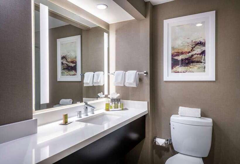 اتاق استاندارد با تخت بزرگ, Doubletree By Hilton Orlando Airport