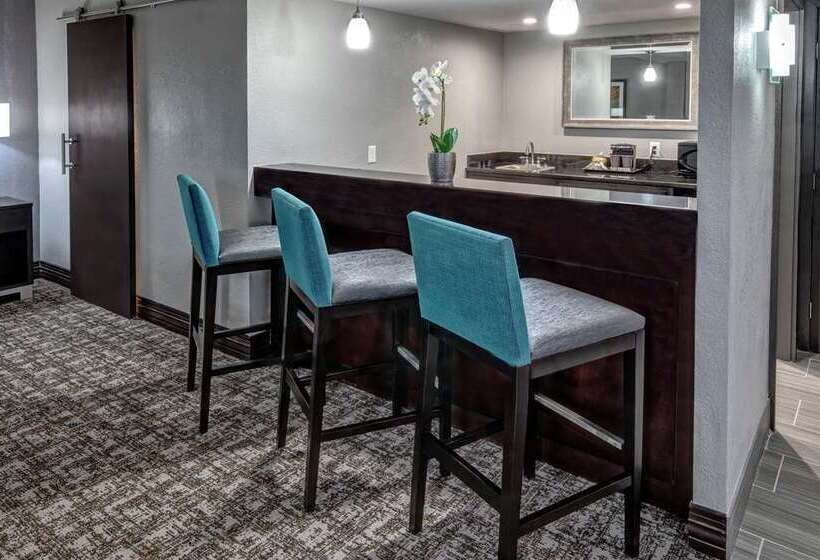 سوئیت جونیور با تخت بزرگ, Doubletree By Hilton Orlando Airport