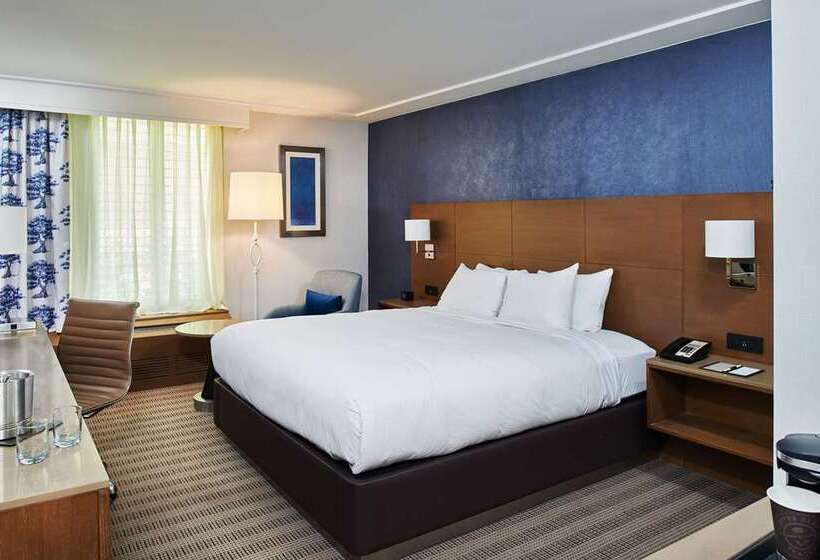 اتاق استاندارد با تخت بزرگ, Doubletree By Hilton Orlando Airport