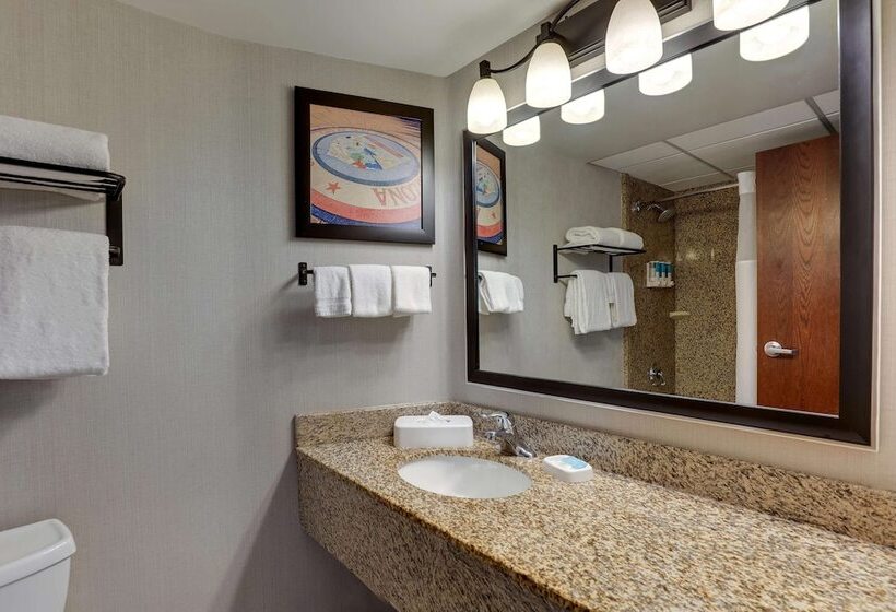חדר דלוקס עם מרפסת טרסה, Drury Inn & Suites Phoenix Airport