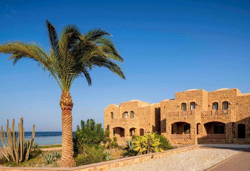 اتاق پرمیوم با چشم‌انداز دریا, Movenpick Resort El Quseir