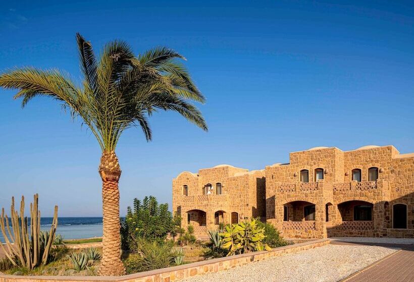 اتاق پرمیوم با چشم‌انداز دریا, Movenpick Resort El Quseir