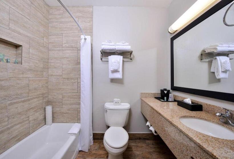스탠다드 룸 킹사이즈 침대, Best Western Kettleman City Inn & Suites
