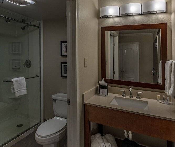 스탠다드 룸 더블 침대 2개, Comfort Inn & Suites At Copeland Tower