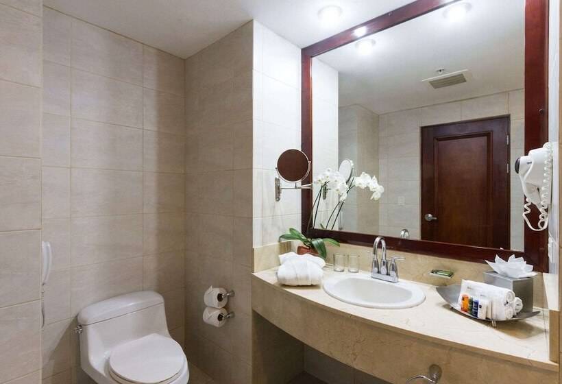 스탠다드 룸 더블 침대 2개, Radisson San Josecosta Rica