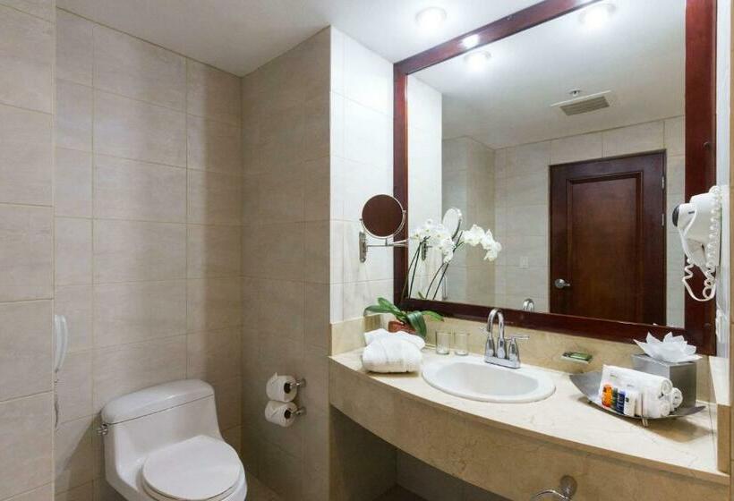스탠다드 룸 킹사이즈 침대, Radisson San Josecosta Rica