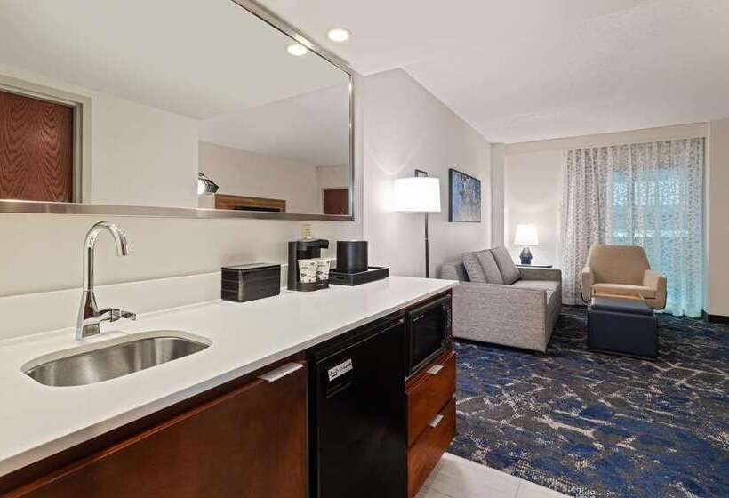 스탠다드 룸, Embassy Suites By Hilton Tampa Usf Near Busch Gardens