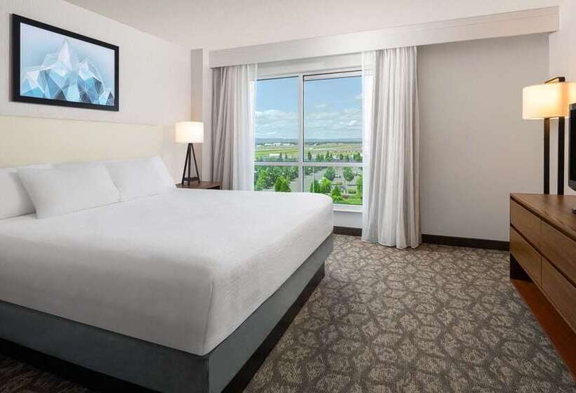스위트 킹사이즈 침대, Embassy Suites By Hilton Tampa Usf Near Busch Gardens