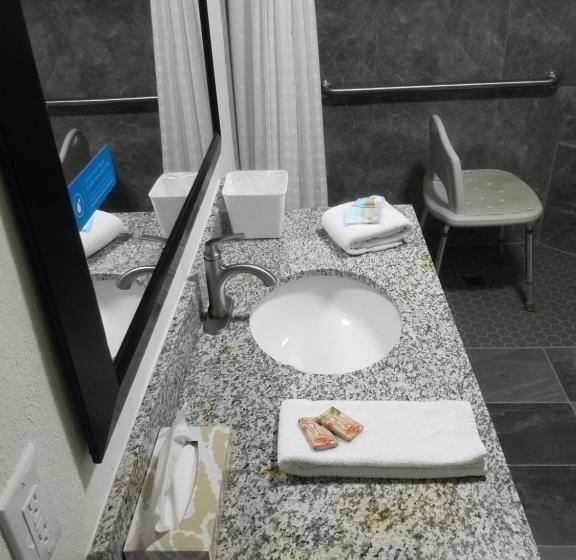 Номер Стандарт Адаптированный для Инвалидов, Sylvania Inn Sylvania,statesboro, Ga Georgia Southern Univ Gsu