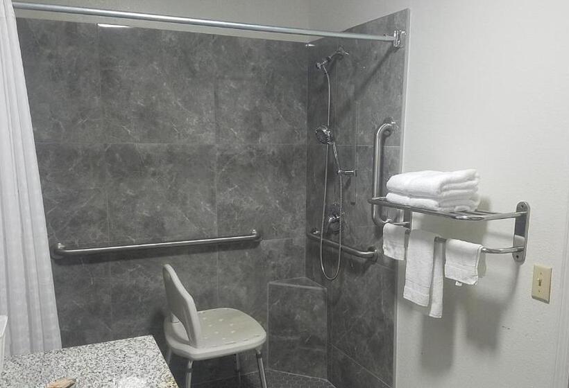 Одноместный Номер Стандарт Адаптированный для Инвалидов, Sylvania Inn Sylvania,statesboro, Ga Georgia Southern Univ Gsu