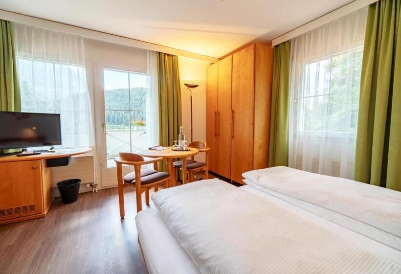 Номер Стандарт с Балконом, Typically Swiss Hotel Altana
