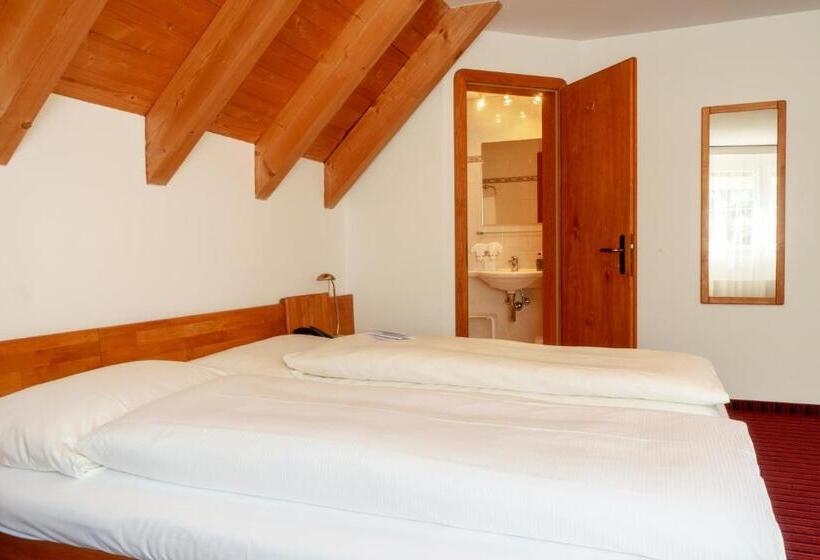 Номер Deluxe, Typically Swiss Hotel Altana