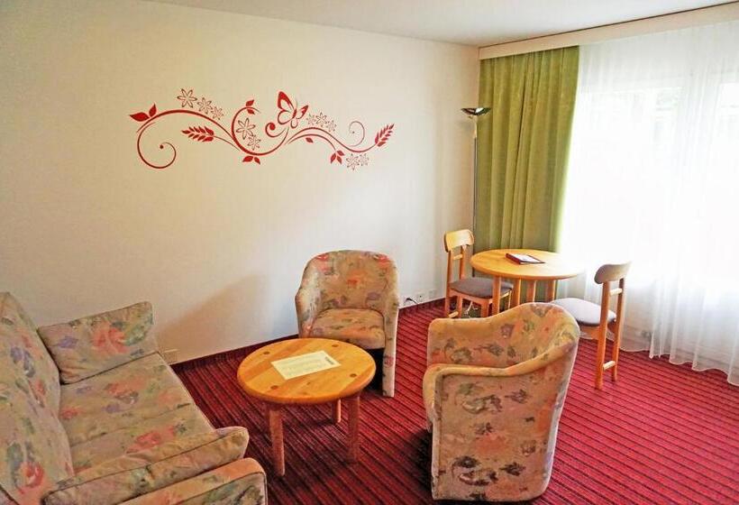 Люкс, Typically Swiss Hotel Altana