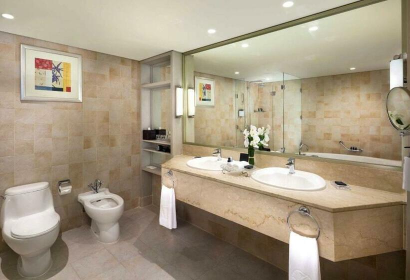 Люкс Вид на Город, Beach Rotana   Abu Dhabi