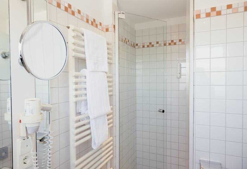 Номер Стандарт Индивидуальный, Dom Hotel Limburg