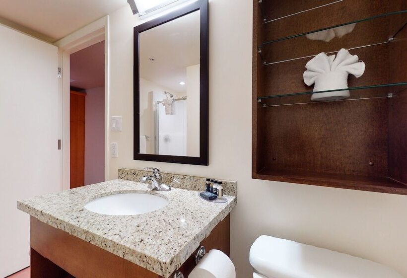 高级工作室, Whistler Village Centre By Latour Hotels And Resorts
