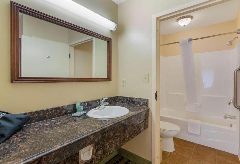 Номер Стандарт, Best Western North Roanoke